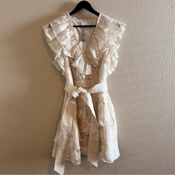 Veronica Beard Mahita Silk Blend Ruffle Dress Size 14 NWT - Picture 3 of 16